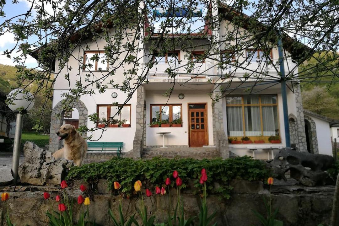 Photo of Others in Ribaritsa