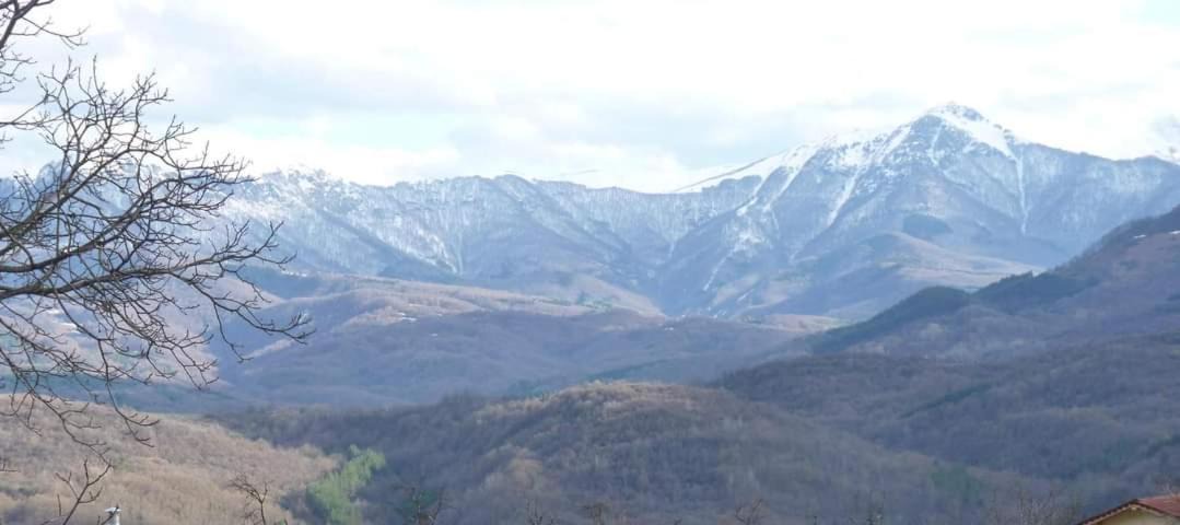Photo of Others in Kravenik