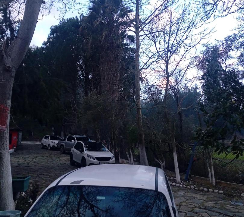 Photo of Others in Seydikemer