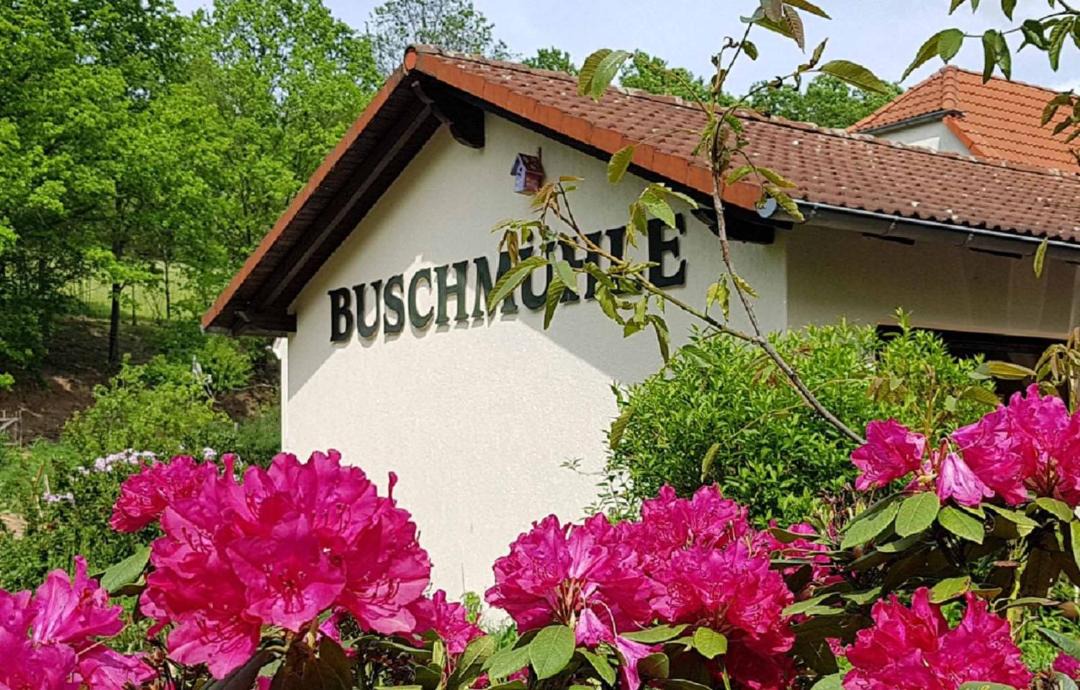 Photo of Others in Rochlitz
