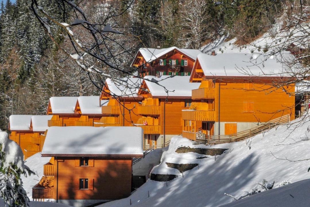 Photo of Others in Wengen
