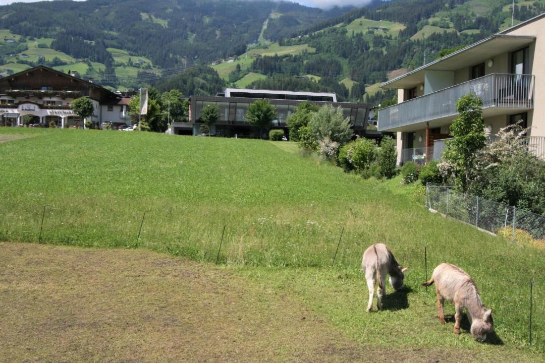 Photo of Others in Fuegen