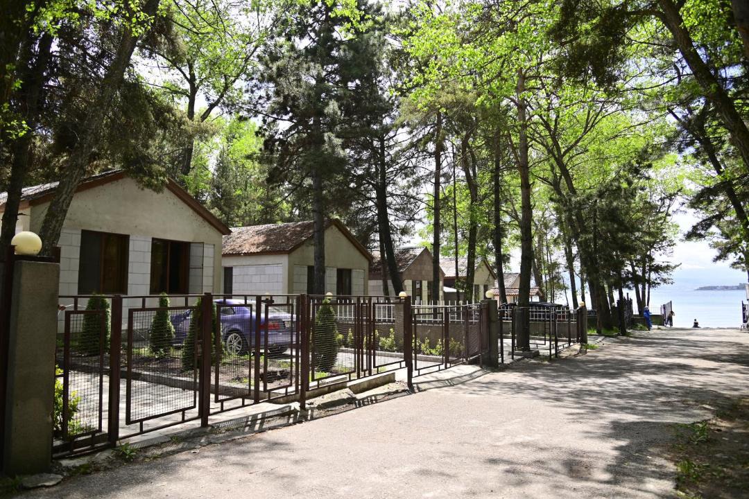 Photo of Others in Sevan