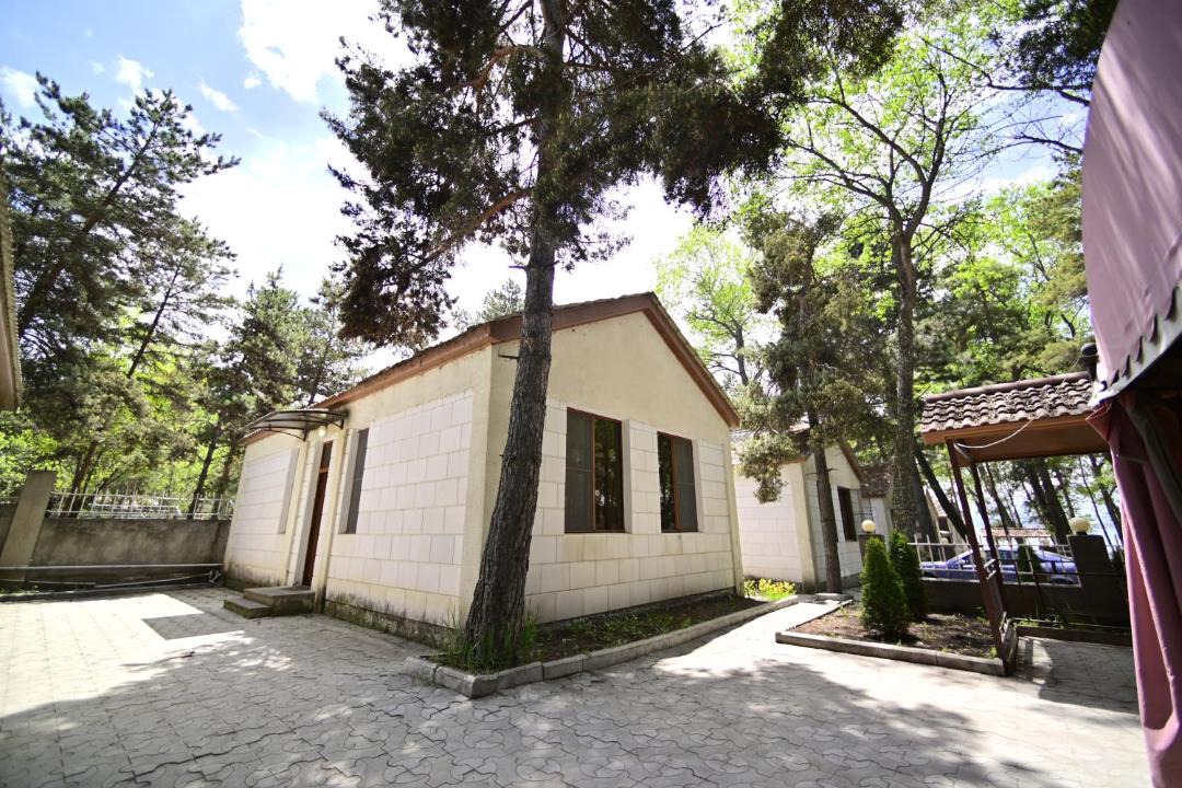 Photo of Others in Sevan