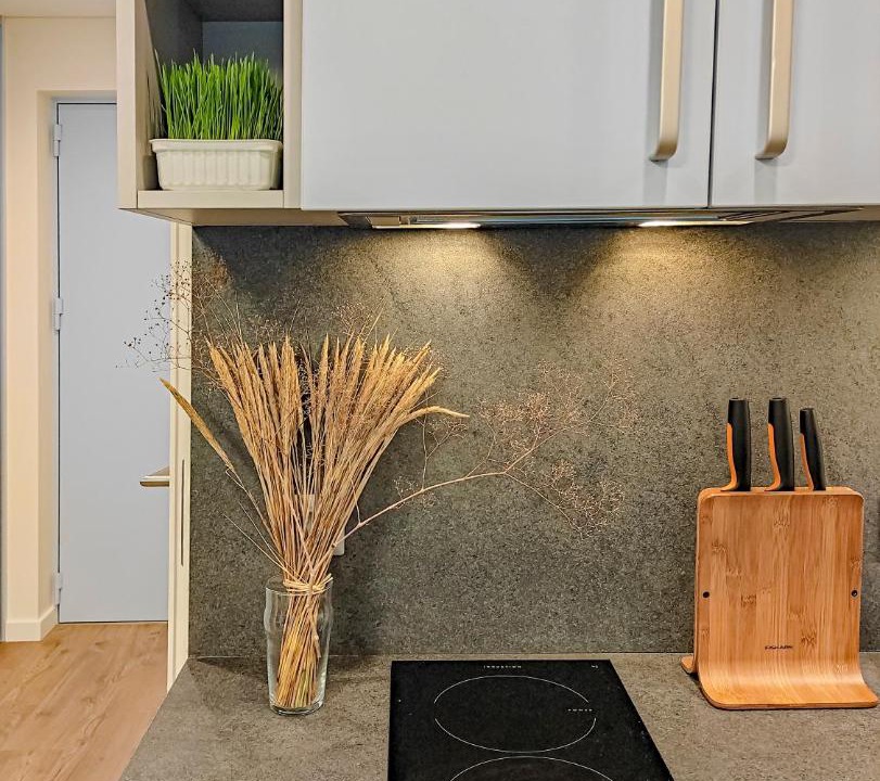 Photo of Kitchen in Juodkrante