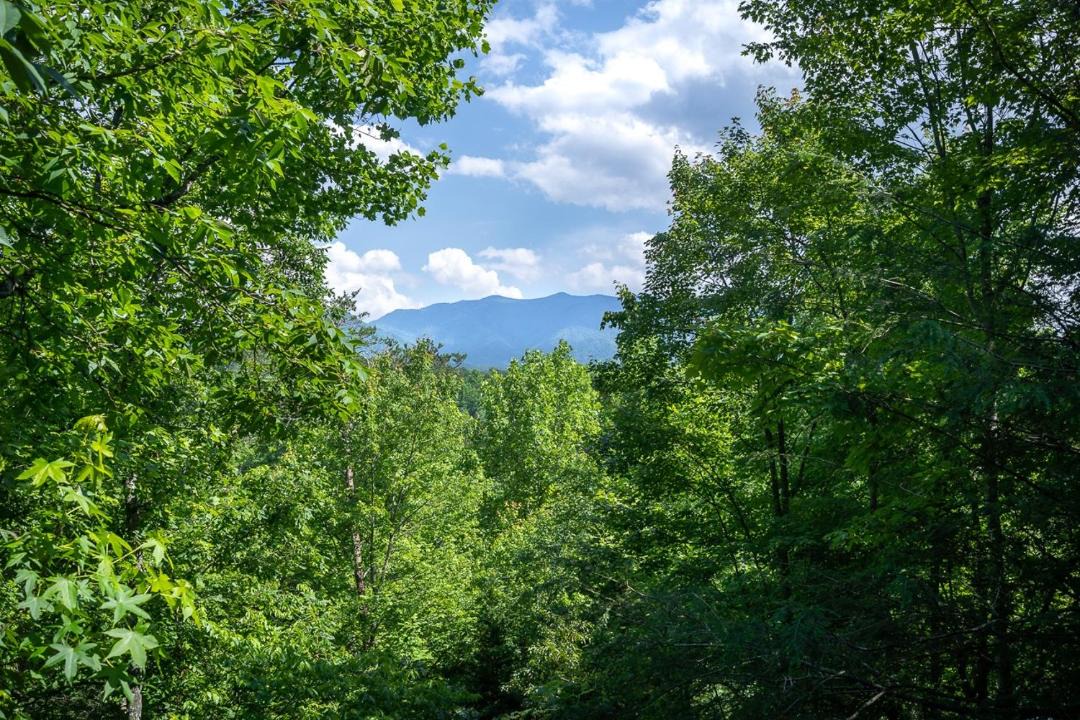 Photo of Outdoor in Black Bear Falls