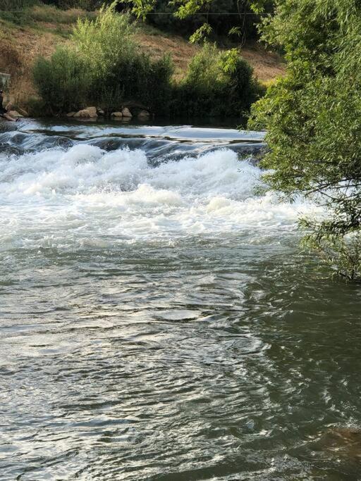 Photo of Others in Bruchim Qela' Alon