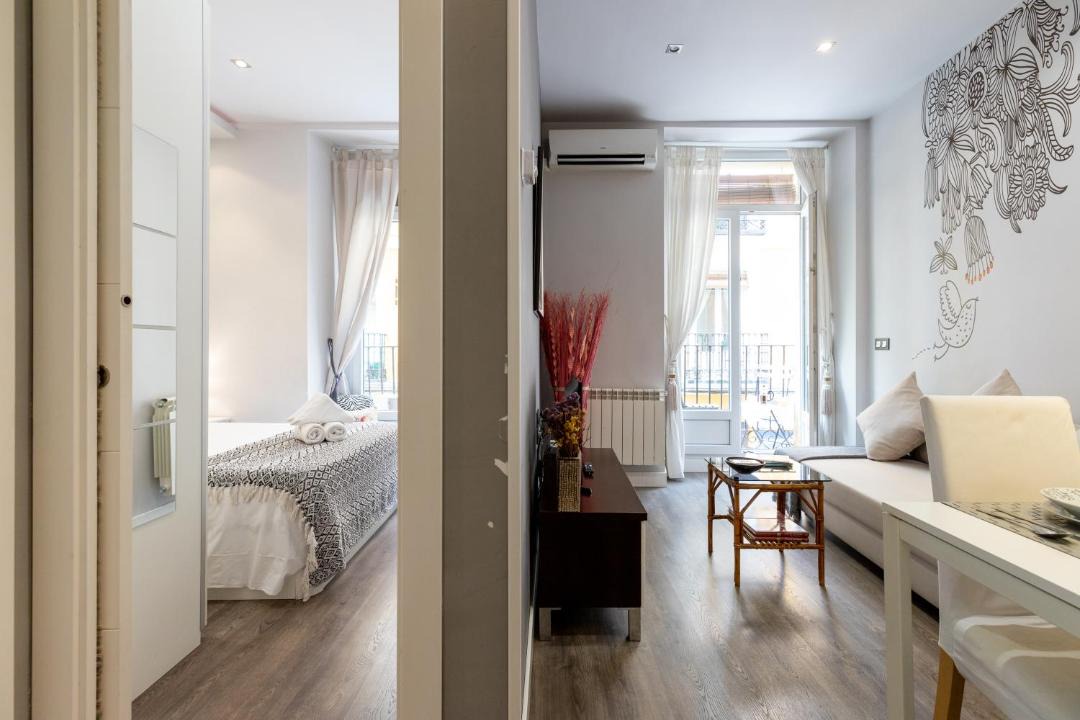 Photo of Livingroom in Embajadores