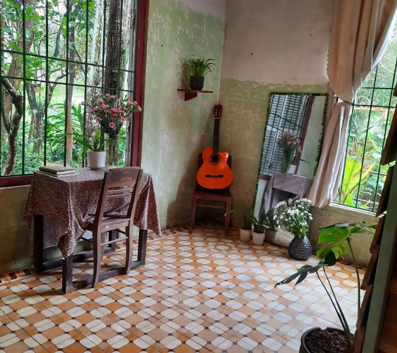 Photo of Others in Hoa Vang