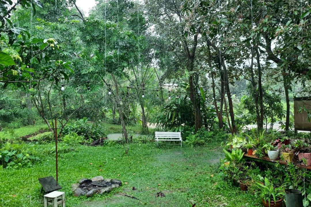 Photo of Others in Hoa Vang