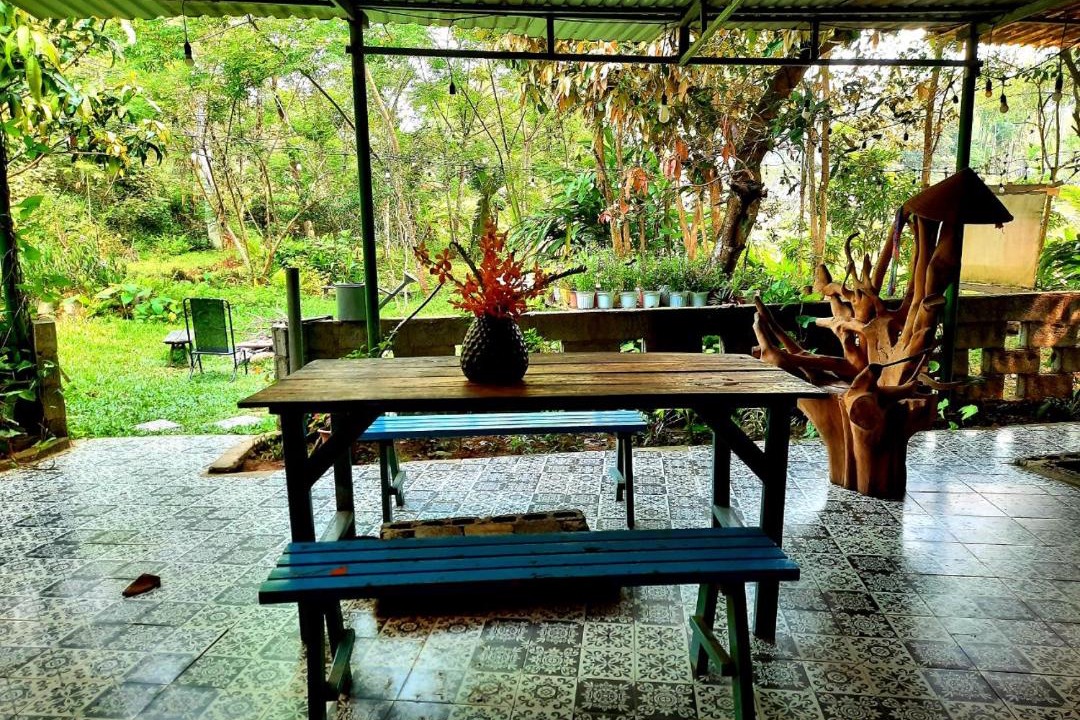 Photo of Others in Hoa Vang