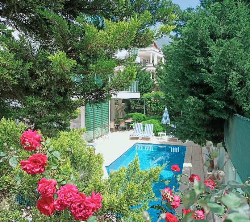 Photo of Others in Kalkan