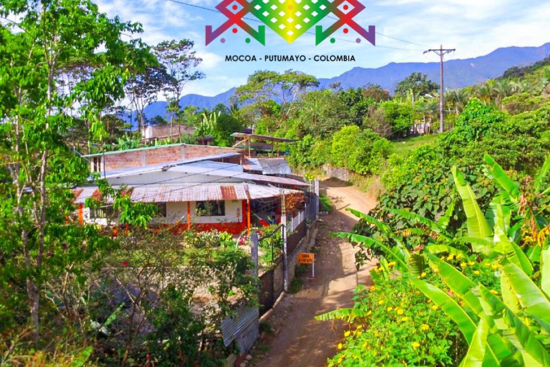Photo of Others in Mocoa