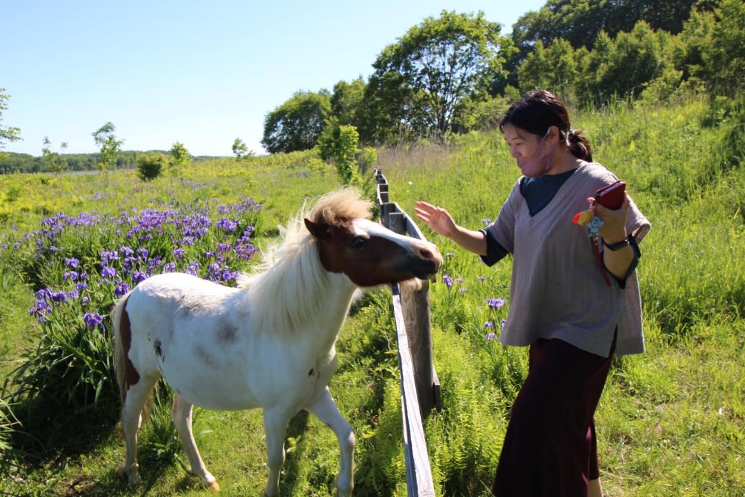 Photo of Human In Picture in Abashiri