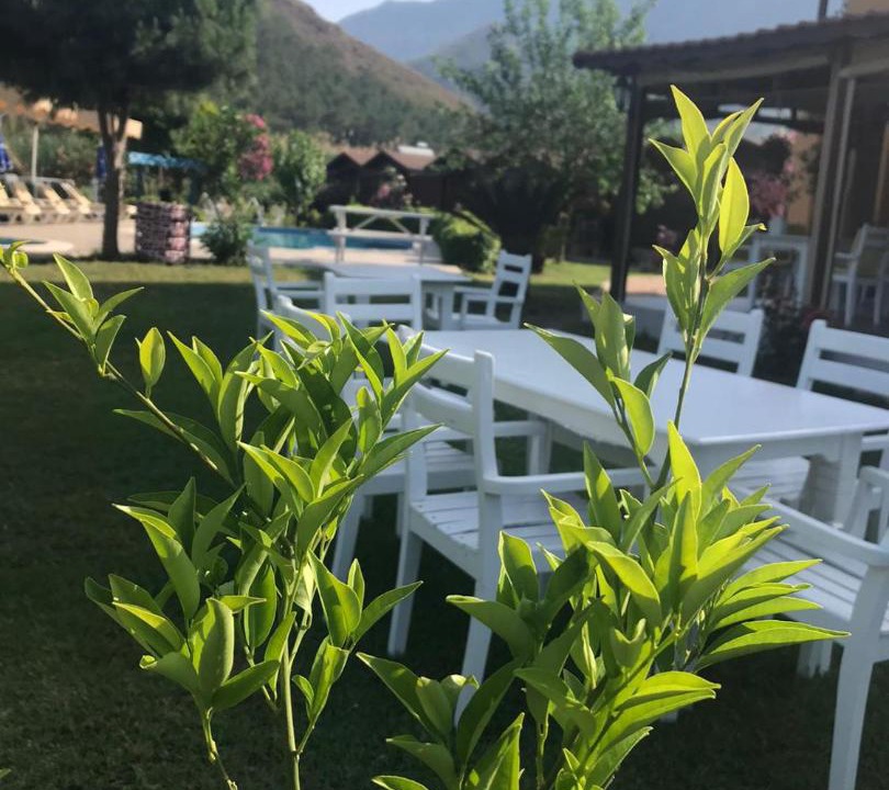 Photo of Outdoor in Adrasan