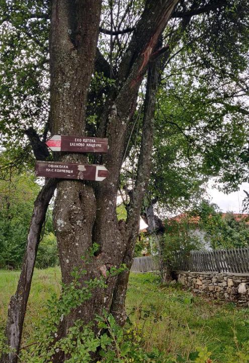 Photo of Outdoor in Tryavna