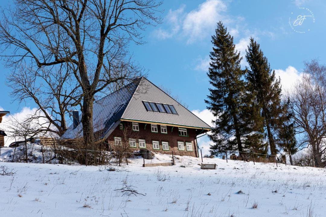 Photo of Buildings in Triberg im Schwarzwald