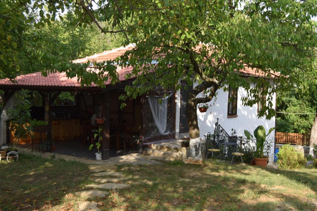 Photo of Others in Veliko Tarnovo