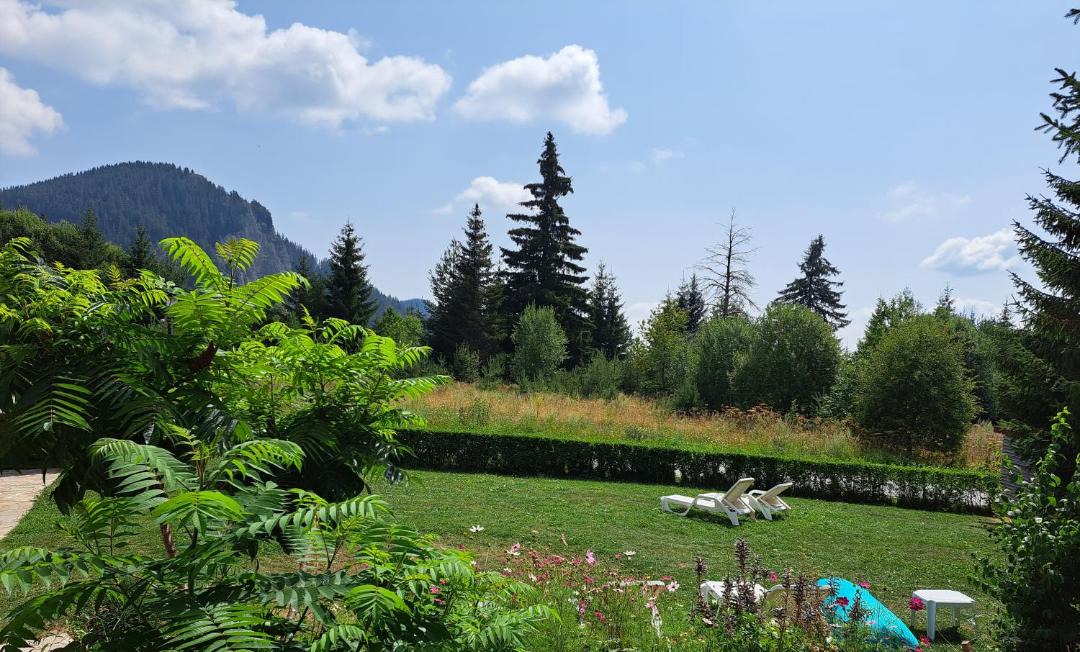 Photo of Others in Smolyan