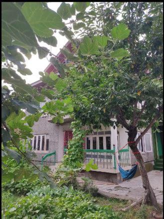 Photo of Buildings in Srinagar