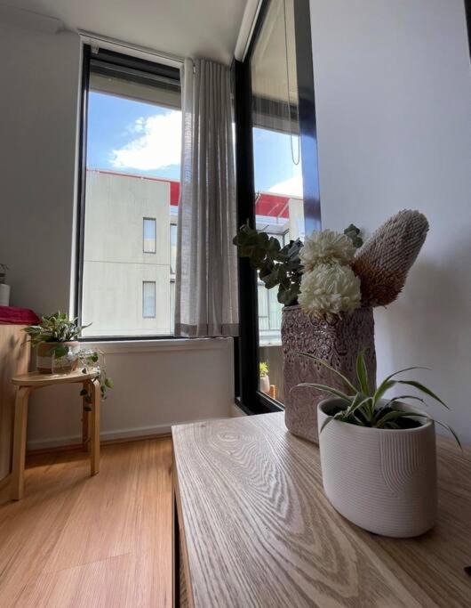 Photo of Livingroom in South Melbourne