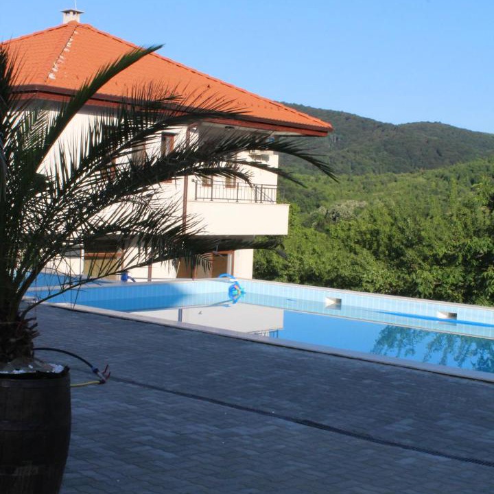 Photo of Others in Elena