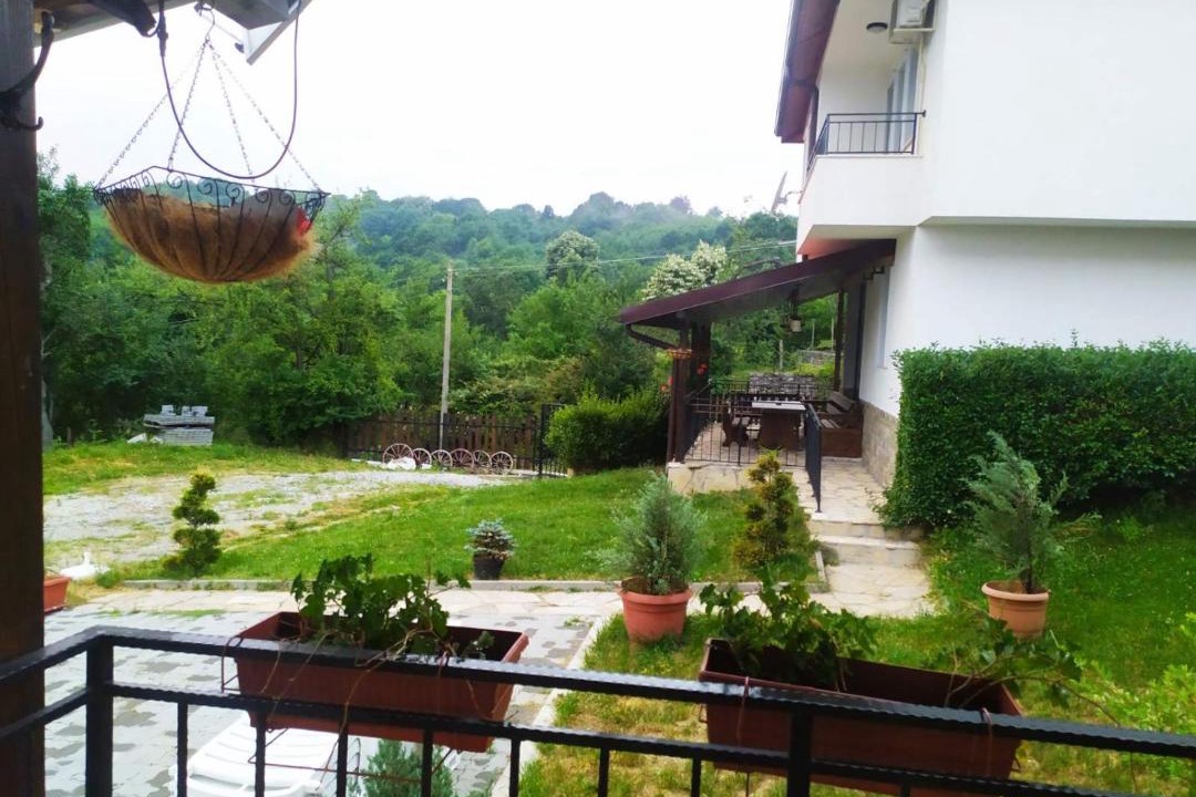 Photo of Others in Elena