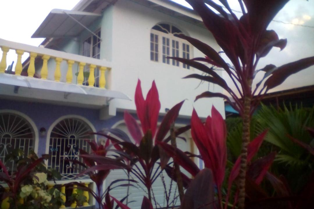 Photo of Buildings in Buff Bay