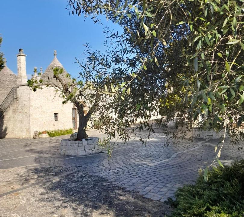 Photo of Others in Martina Franca
