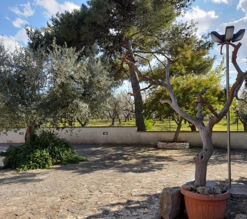 Photo of Others in Martina Franca