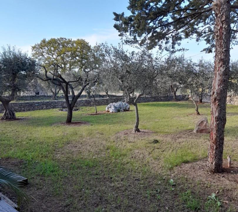 Photo of Outdoor in Martina Franca