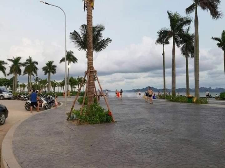 Photo of Others in Ha Long