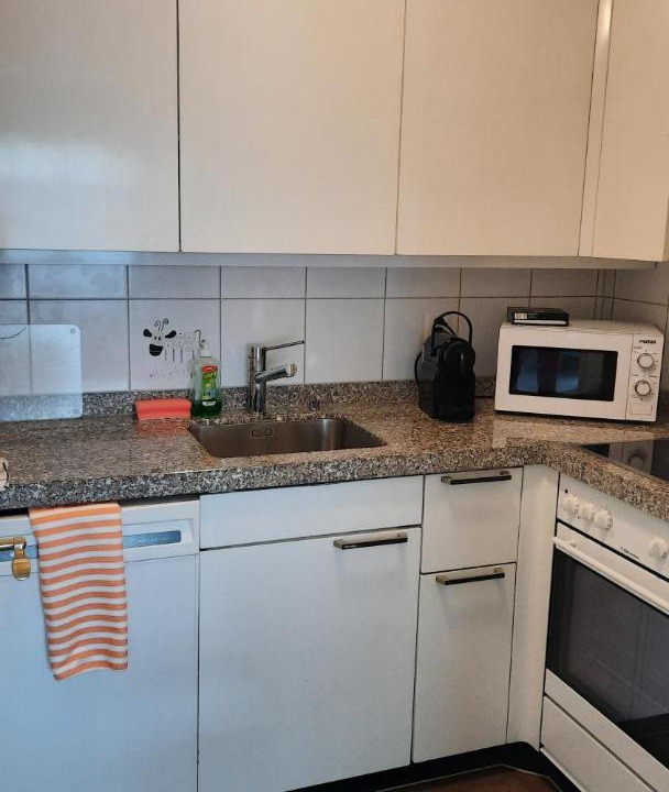 Photo of Kitchen in Davos-Platz