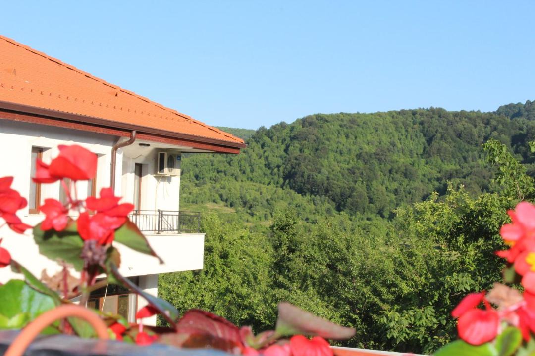 Photo of Others in Elena