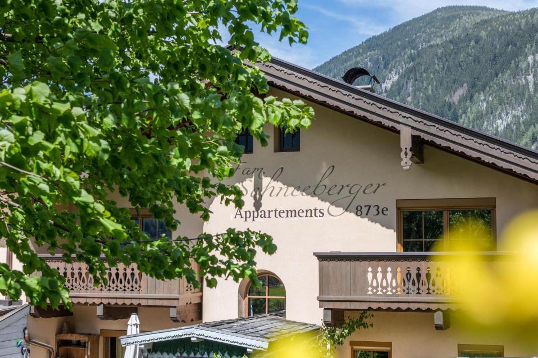 Photo of Others in Mayrhofen