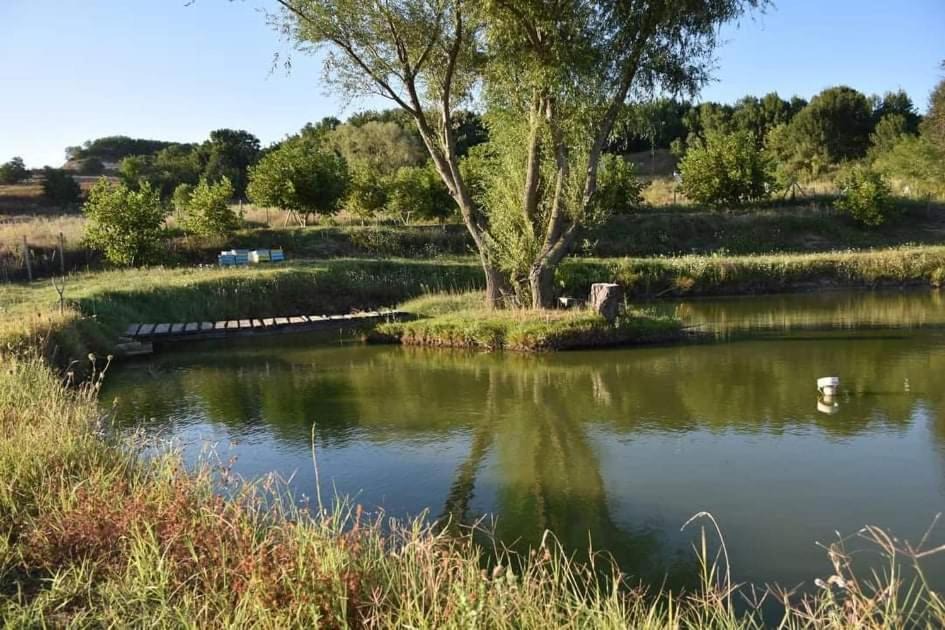 Photo of Outdoor in Avren