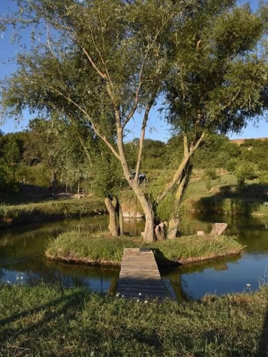 Photo of Others in Avren