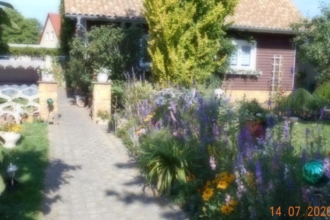 Photo of Others in Dankerode
