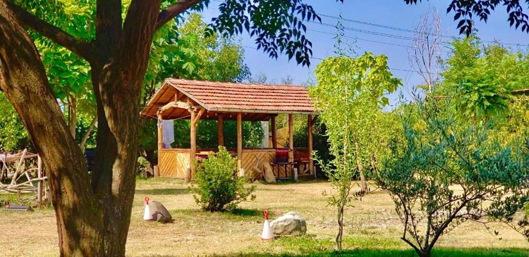 Photo of Others in Harsovo