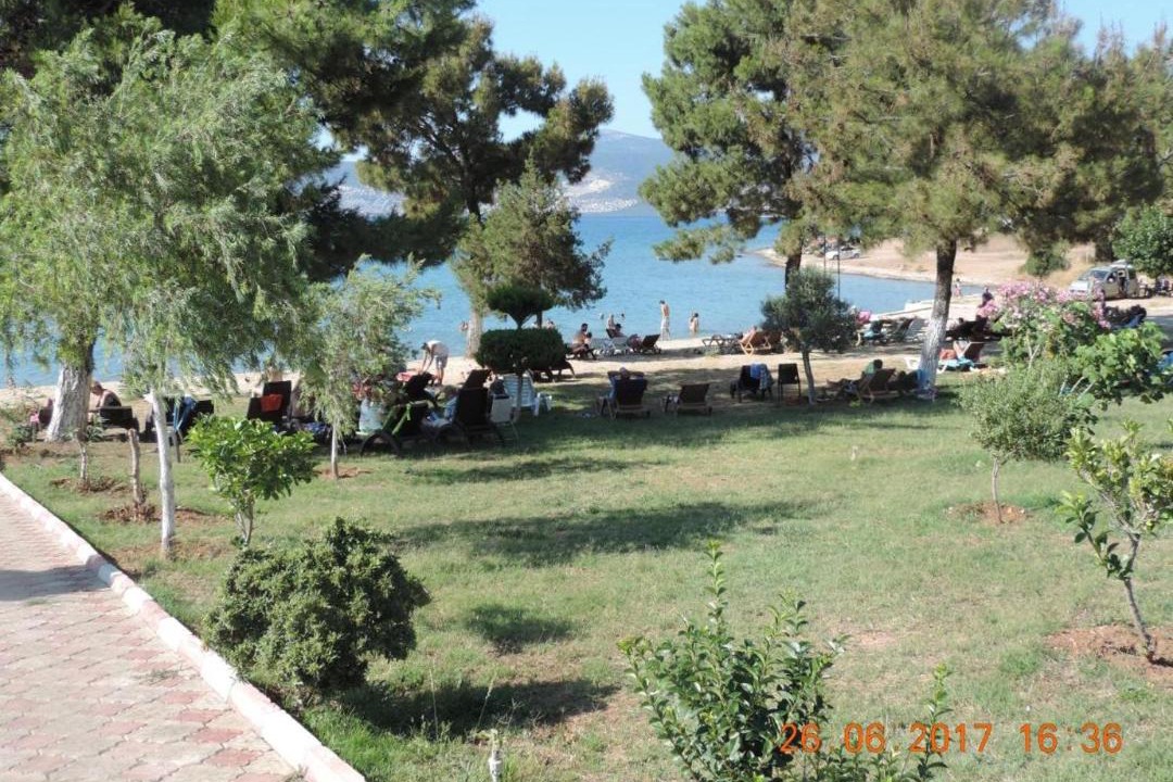 Photo of Others in Milas