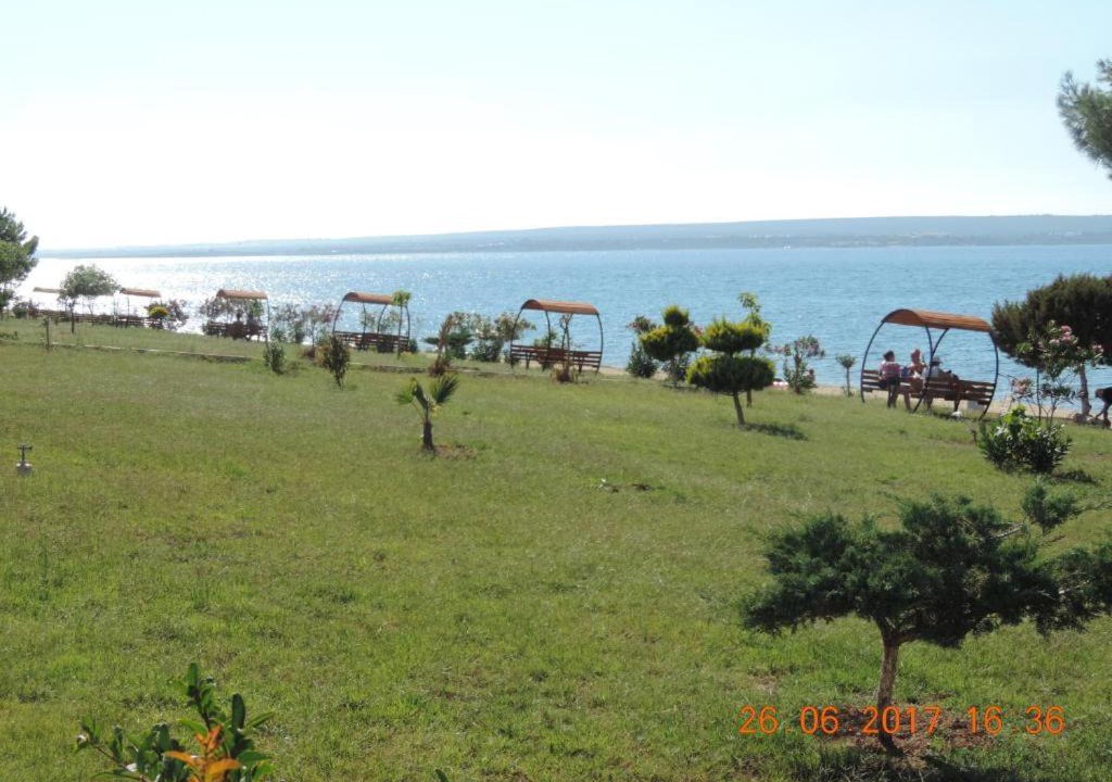 Photo of Others in Milas