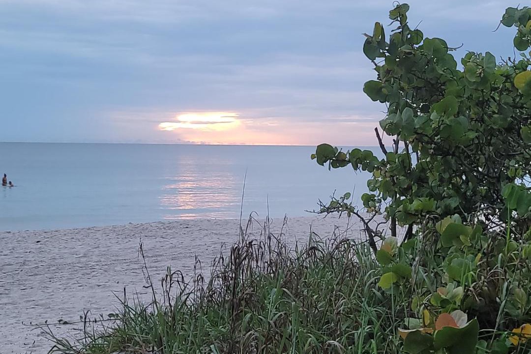 Photo of Others in Vanderbilt Beach
