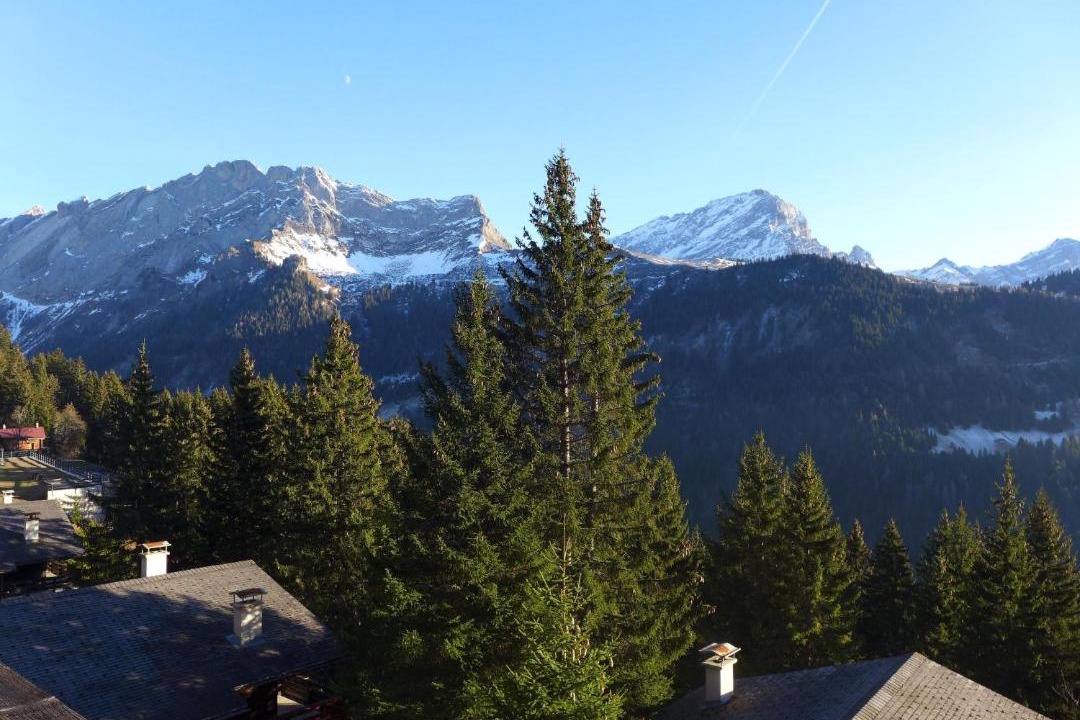 Photo of Others in Alpe des Chaux
