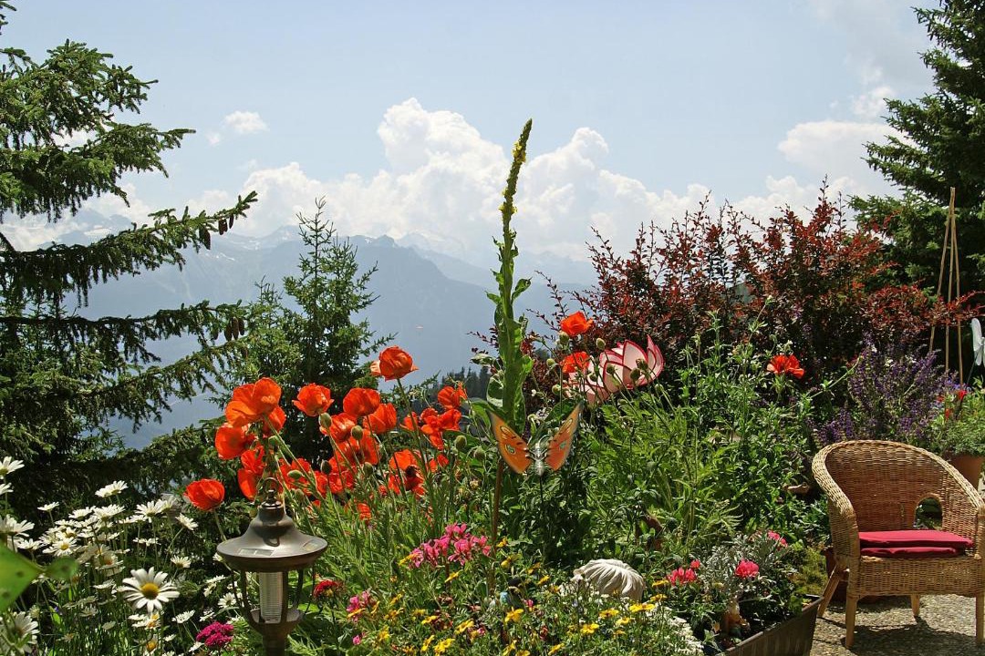 Photo of Others in Bettmeralp