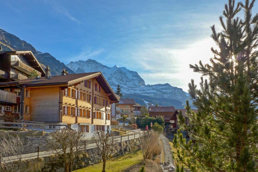 Photo of Others in Wengen