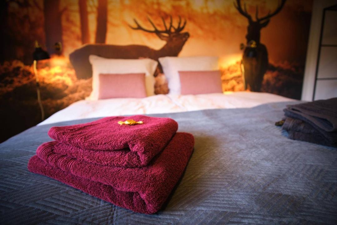 Photo of Bedroom in Niedersfeld