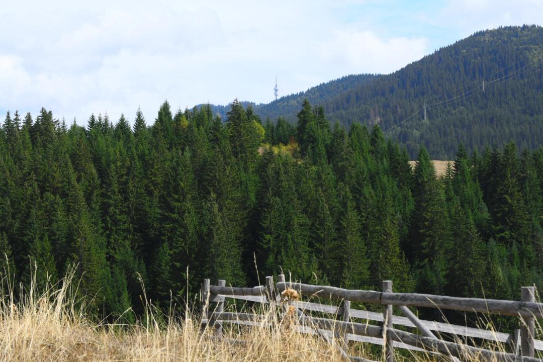 Photo of Outdoor in Stoykite