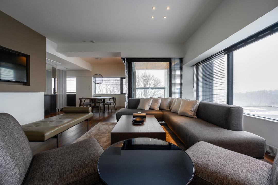 Photo of Livingroom in Hirafu