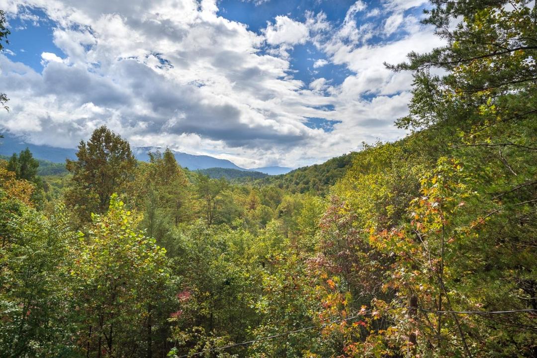 Photo of Outdoor in Cosby