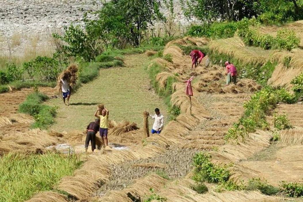 Photo of Others in Dhading